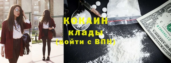 соль ск Алексин