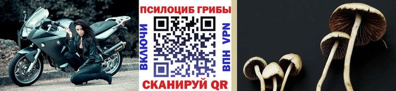 Галлюциногенные грибы MAGIC MUSHROOMS Калач-на-Дону